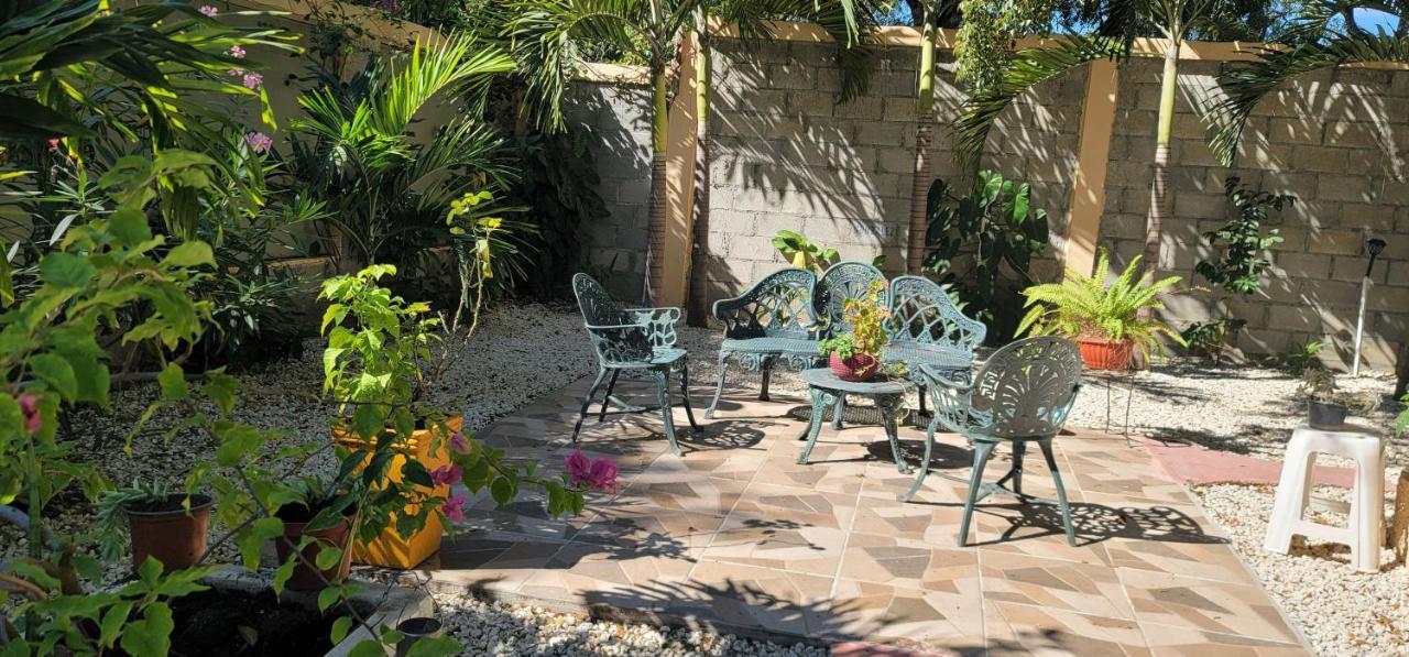 San Jose de Ocoa Casita De Las Flores מראה חיצוני תמונה